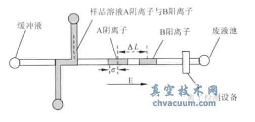 離子分離設備及原理圖
